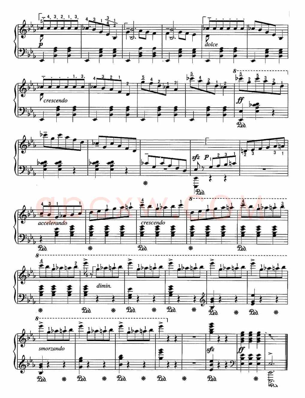 辉煌的大圆舞曲