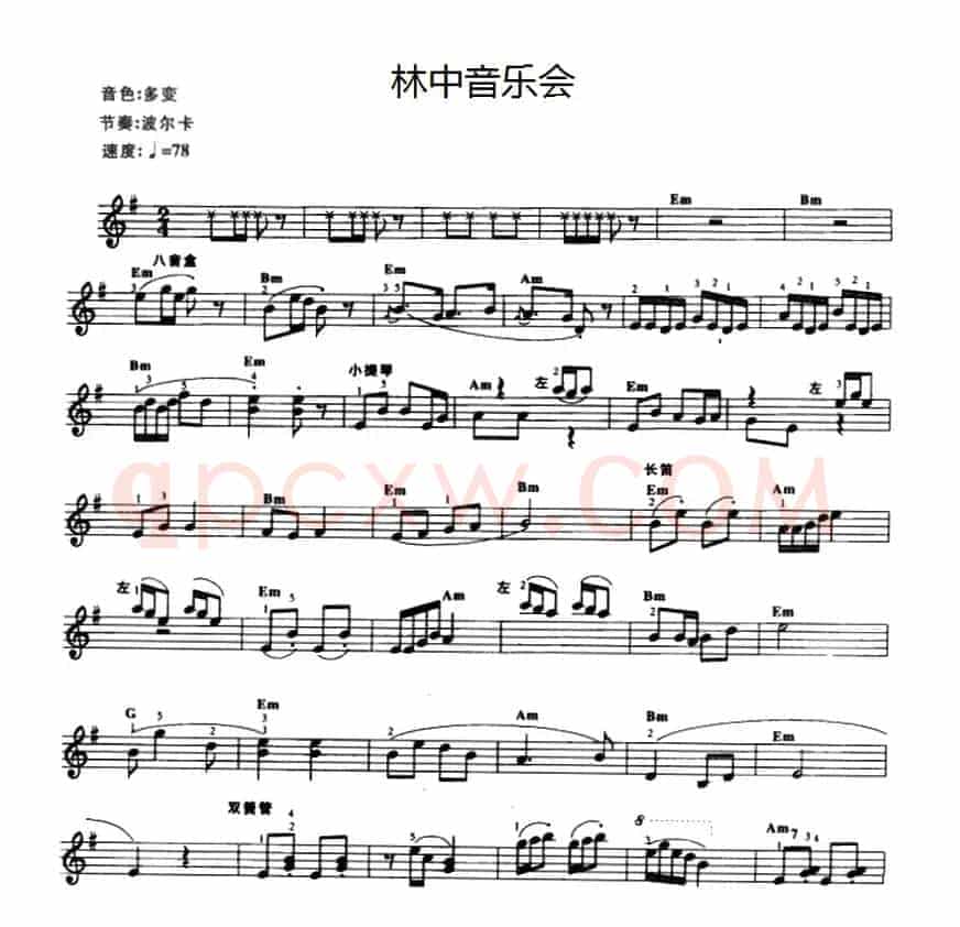 林中音乐会
