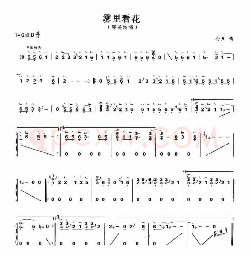 雾里看花
