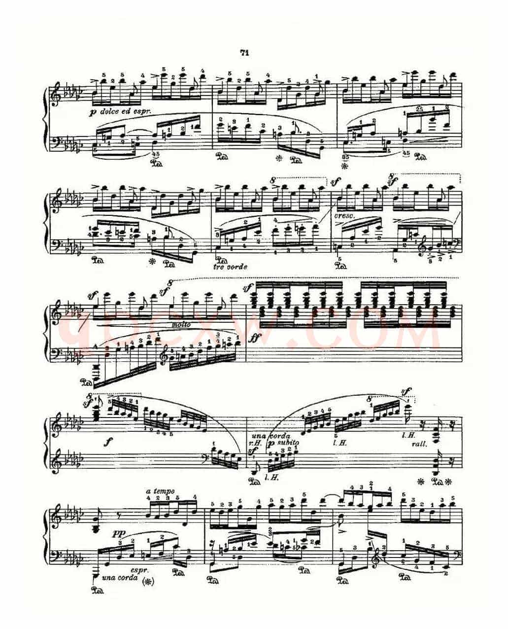 肖邦《练习曲》Fr.Chopin Op.10 No5-6
