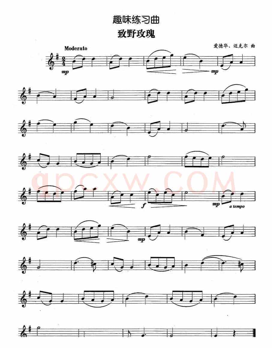趣味练习曲：致野玫瑰