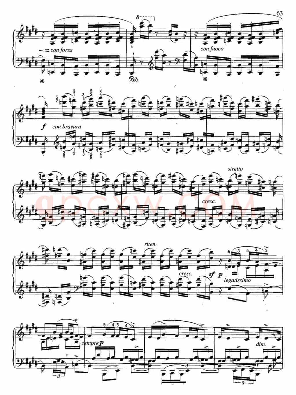 不可不弹的世界钢琴名曲：练习曲