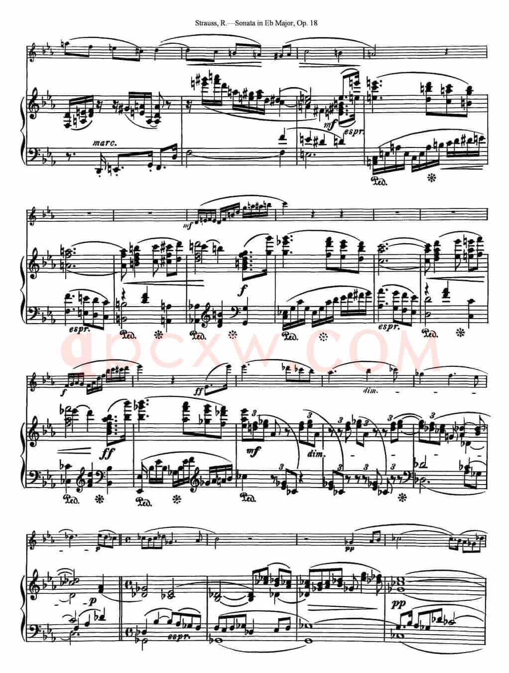 Violin Sonata in Eb Major Op.18（小提琴+钢琴伴奏）