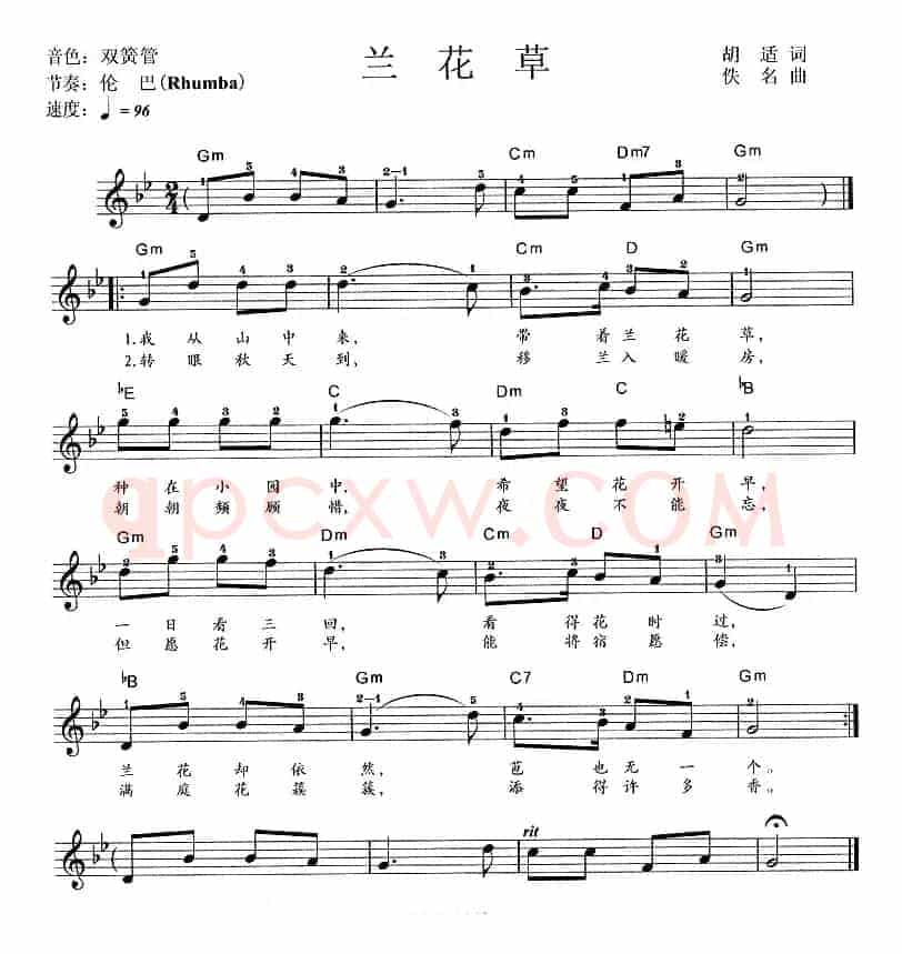 兰花草