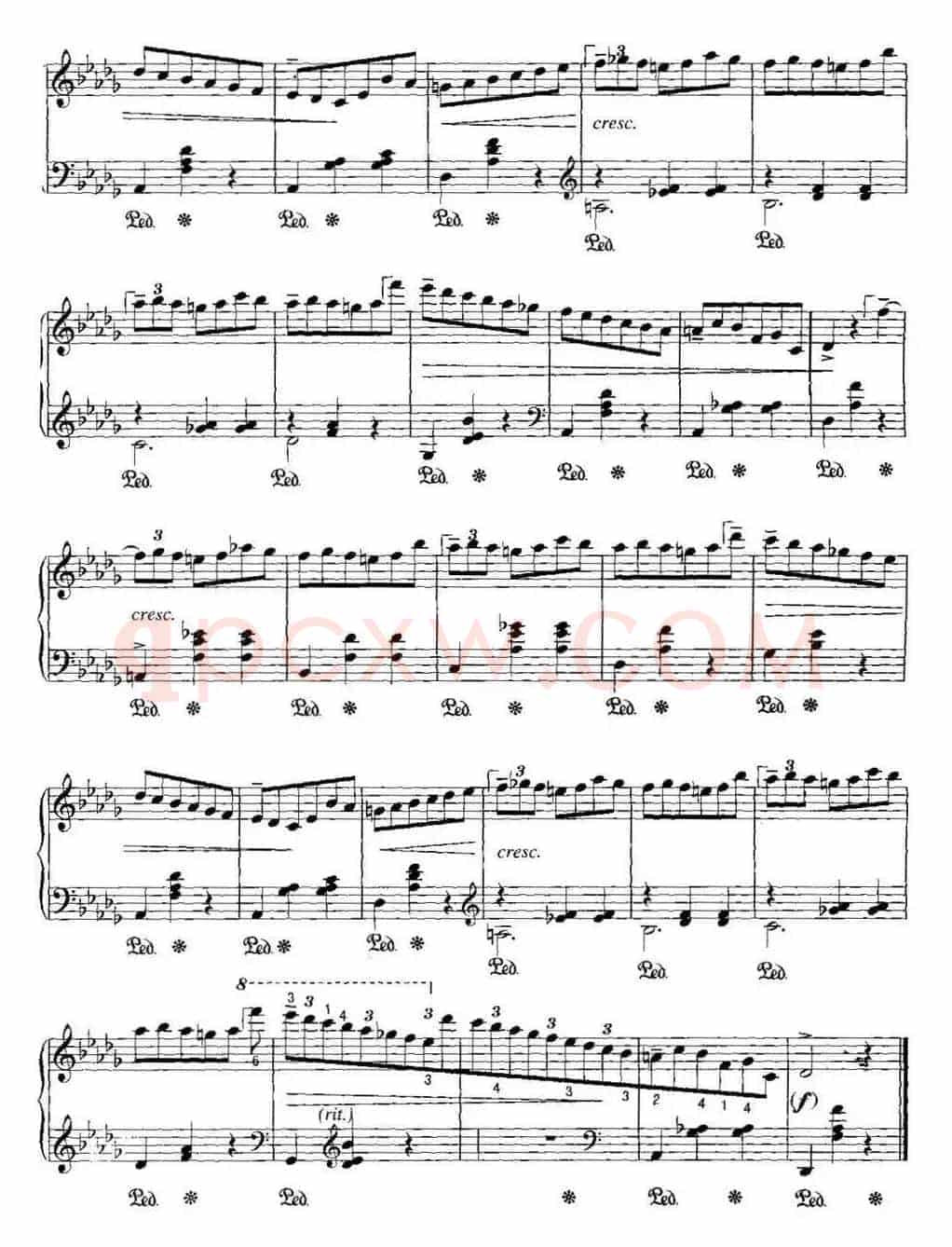 不可不弹的世界钢琴名曲：“小狗”圆舞曲（降D大调）