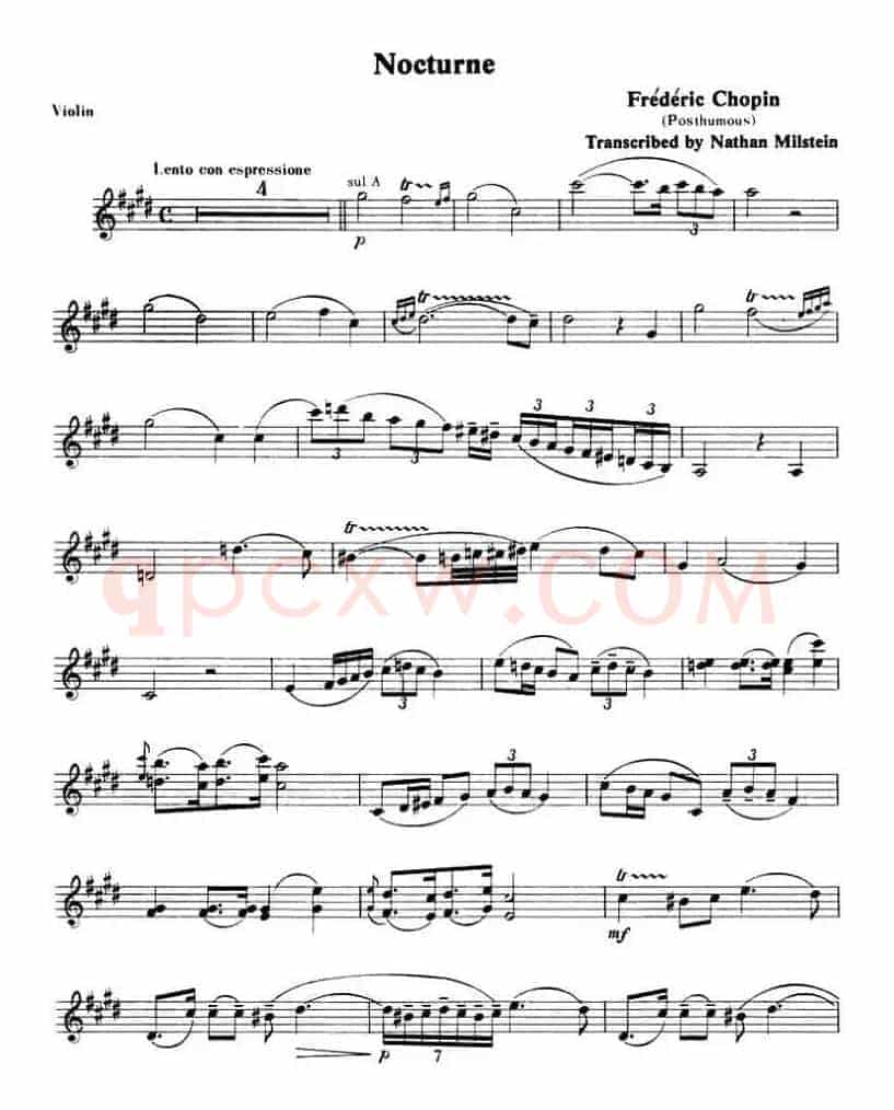 NOCTURNE
