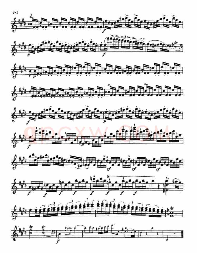ALLEGRO MAESTOSO（庄严的快板）