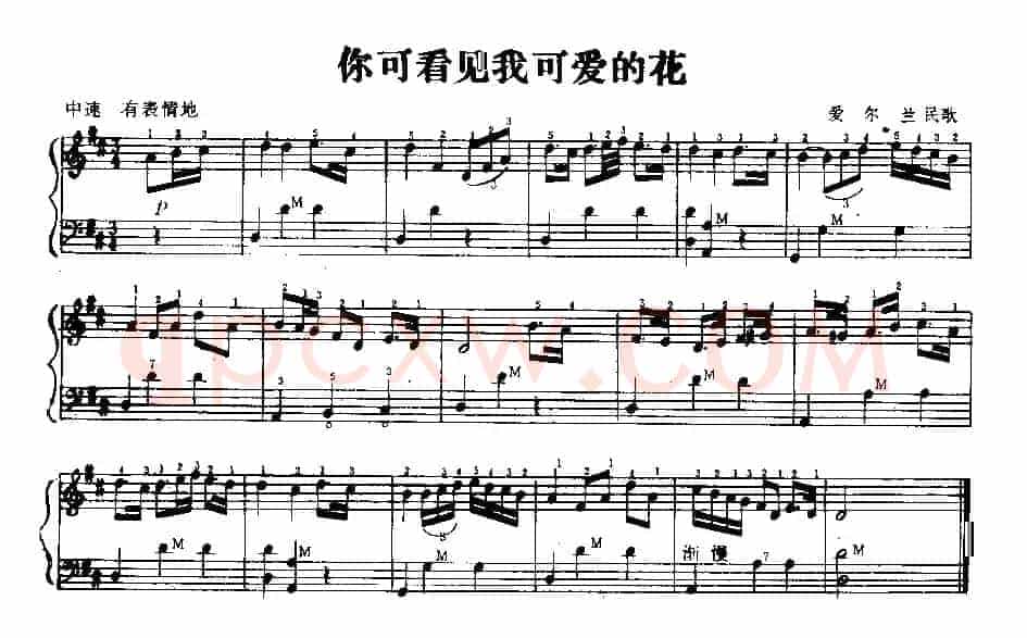 你可看见我可爱的花（爱尔兰民歌）