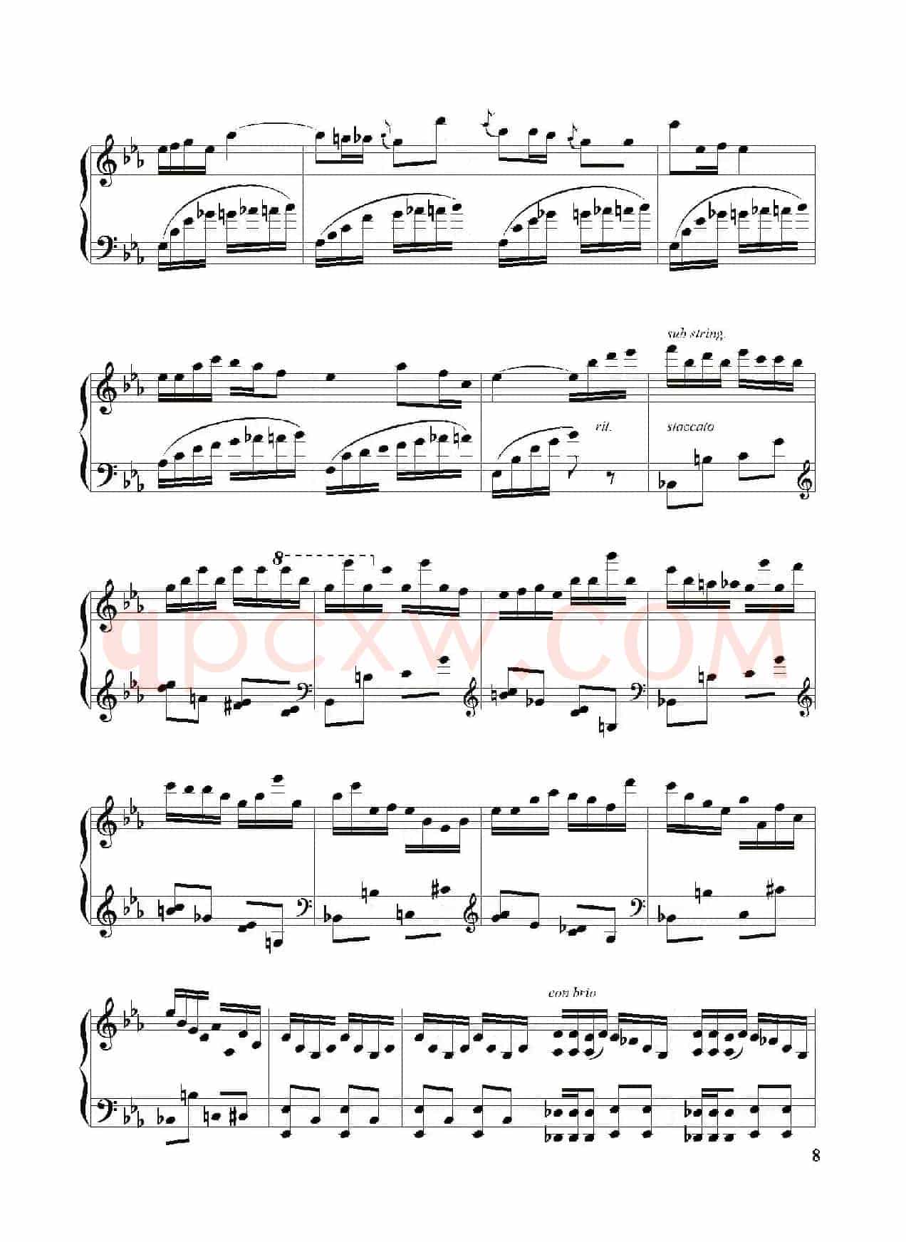 撒尼幻想曲