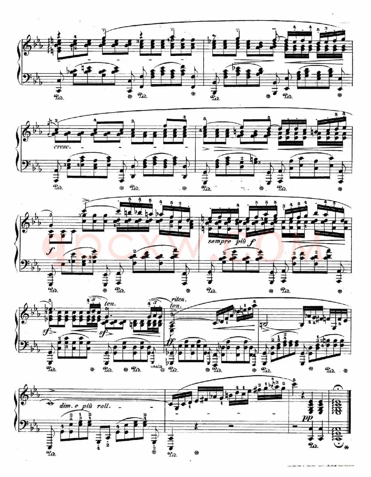 Deux Nocturnes Op.48(2首夜曲·1)