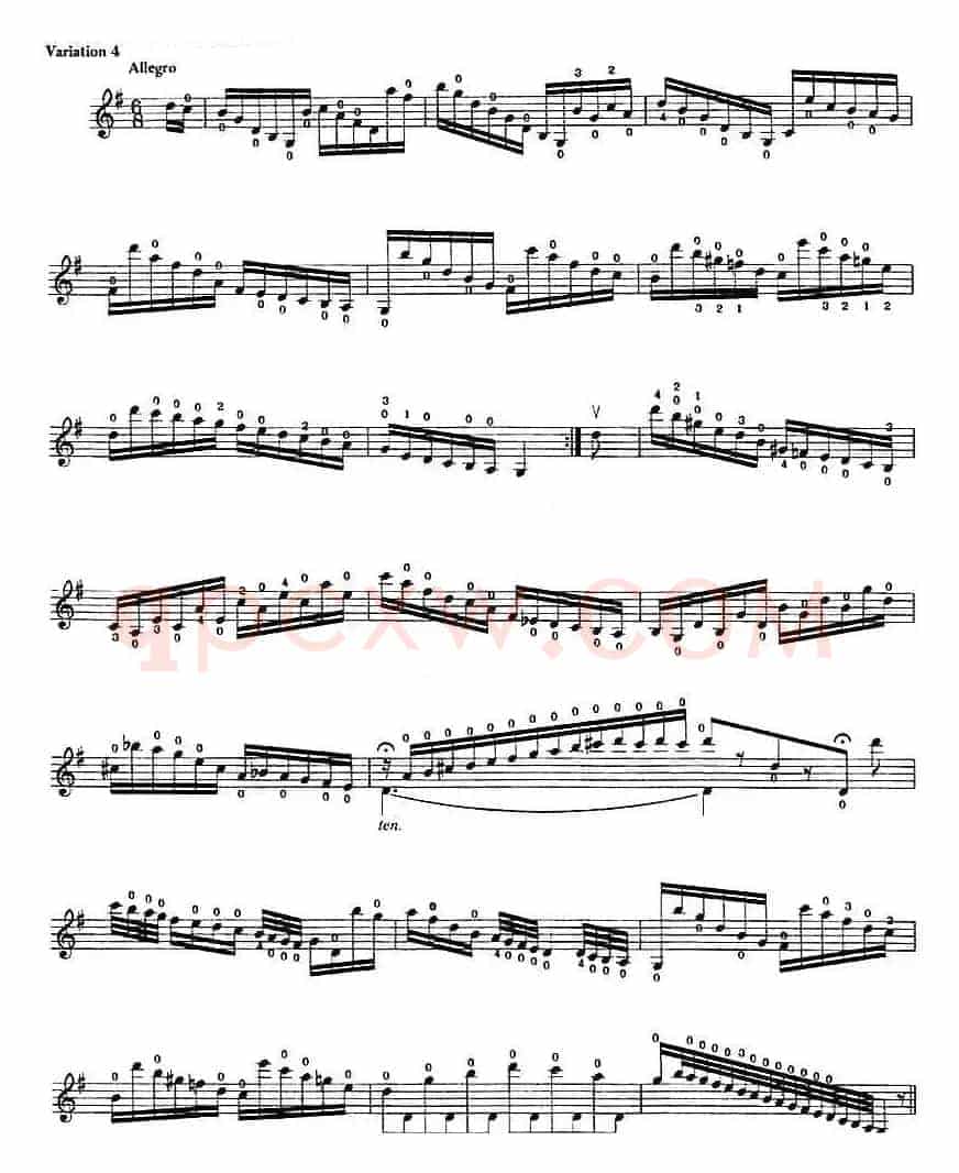 Introduction and Variations