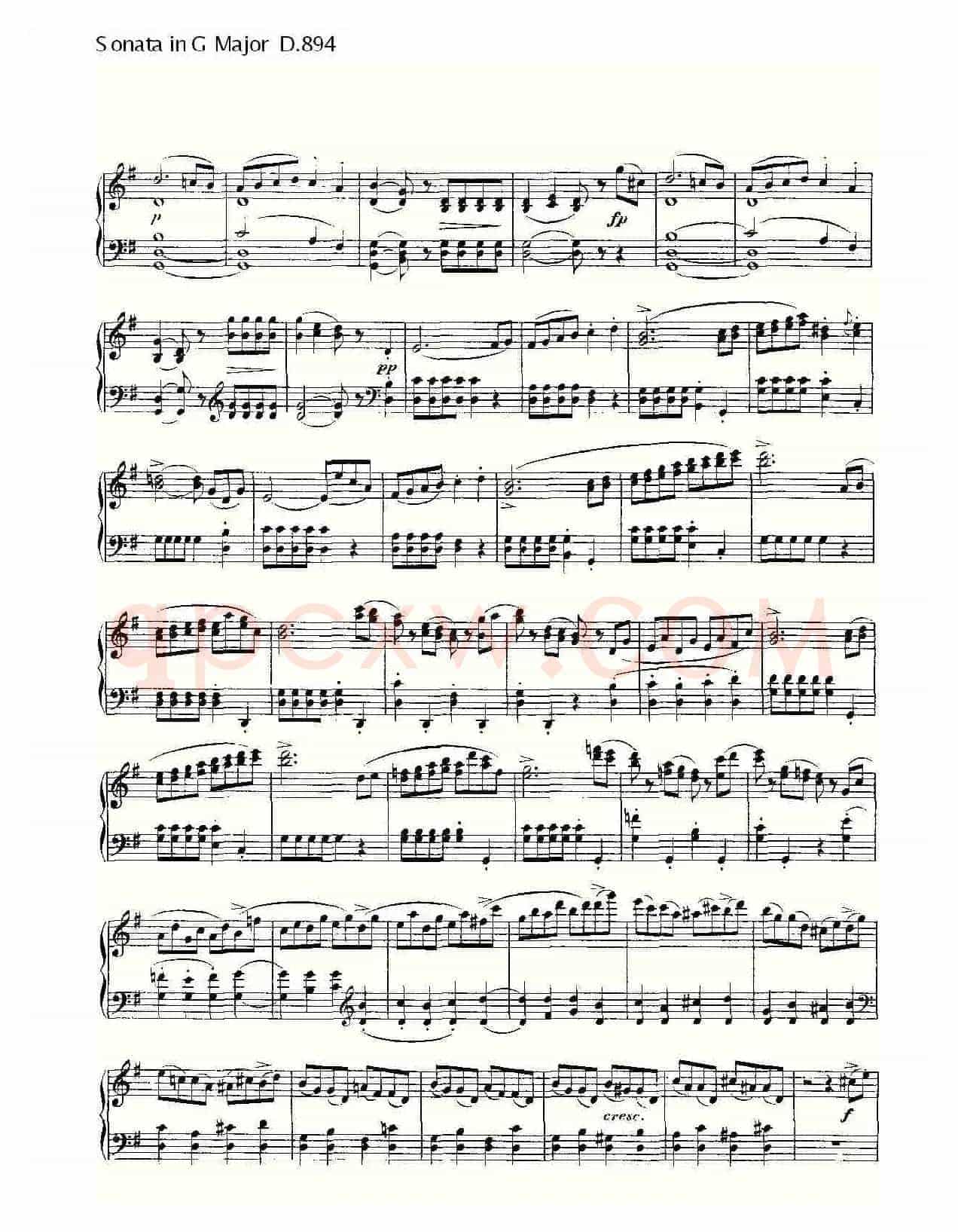 Sonata in G Major D.894(G大调奏鸣曲 D.894)