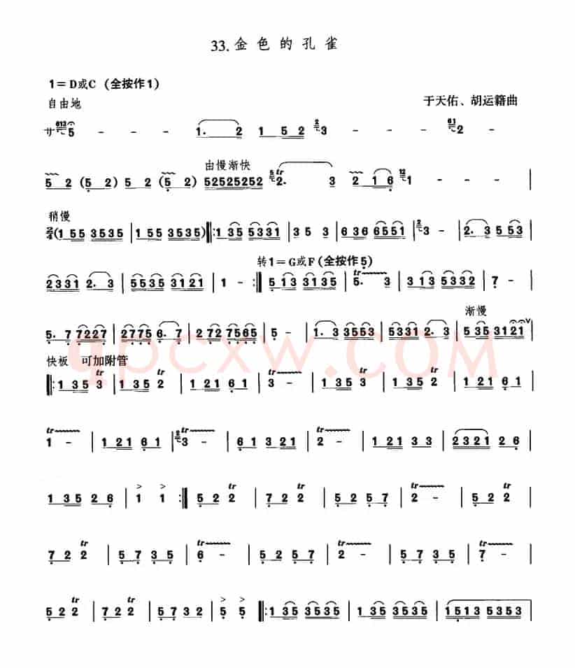 金色的孔雀