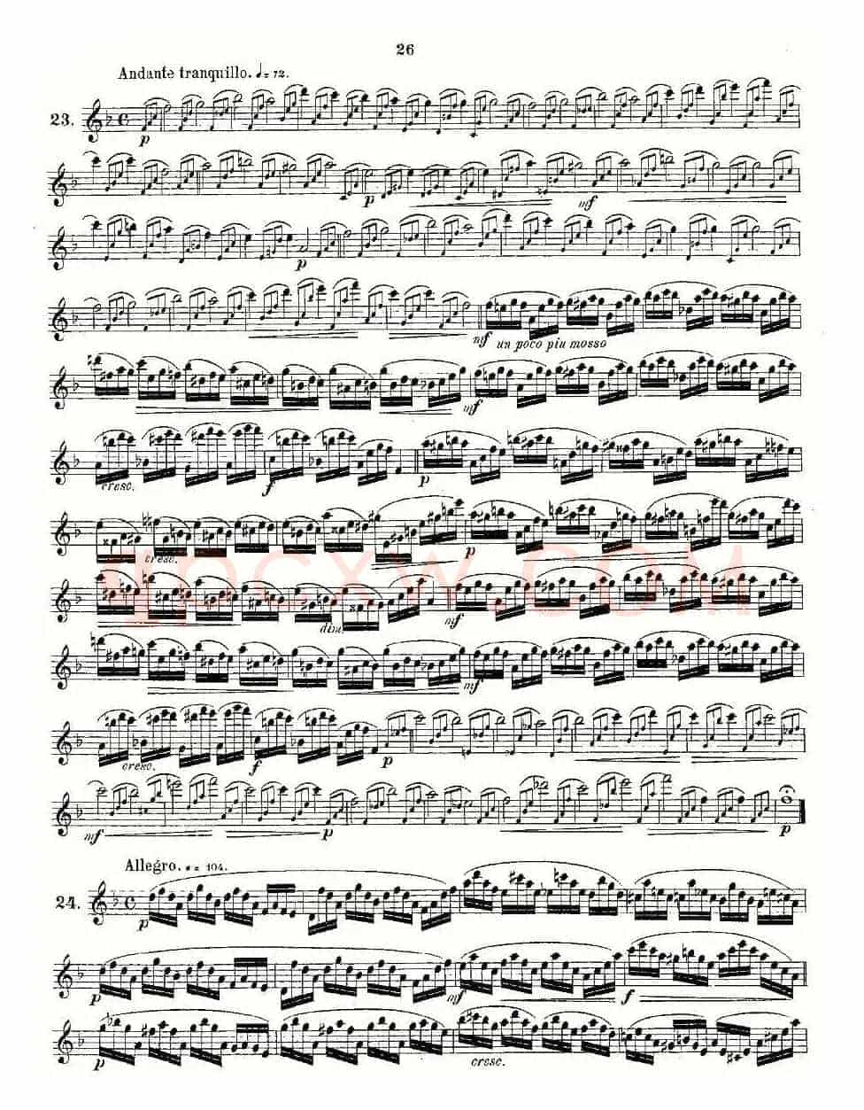 24 instructive Uebungen.Op.30（13—24）