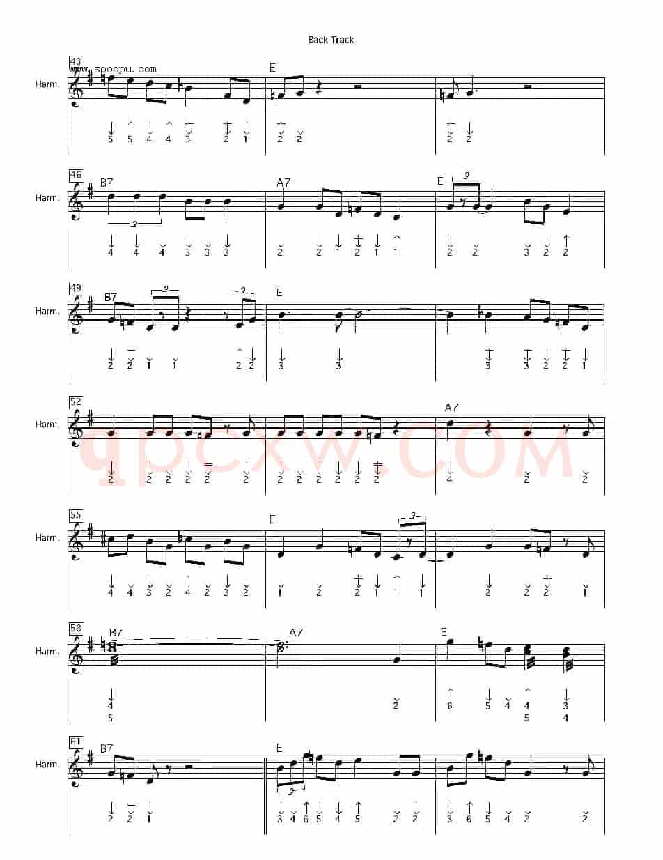 back track（布鲁斯）