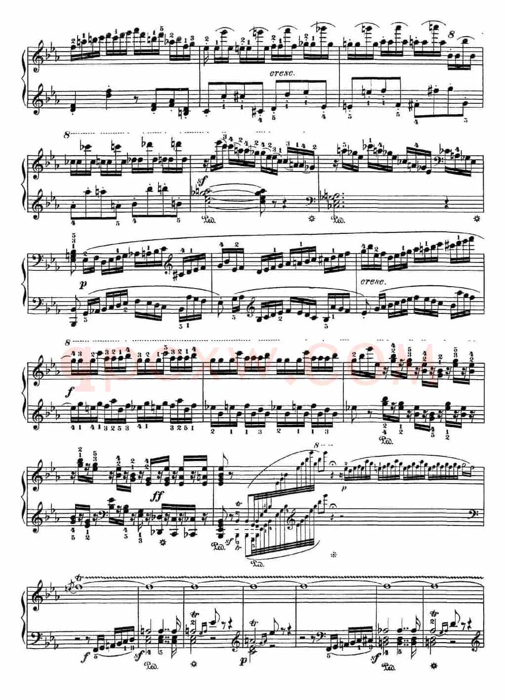 二十八部钢琴协奏曲 No.22（P16-30）