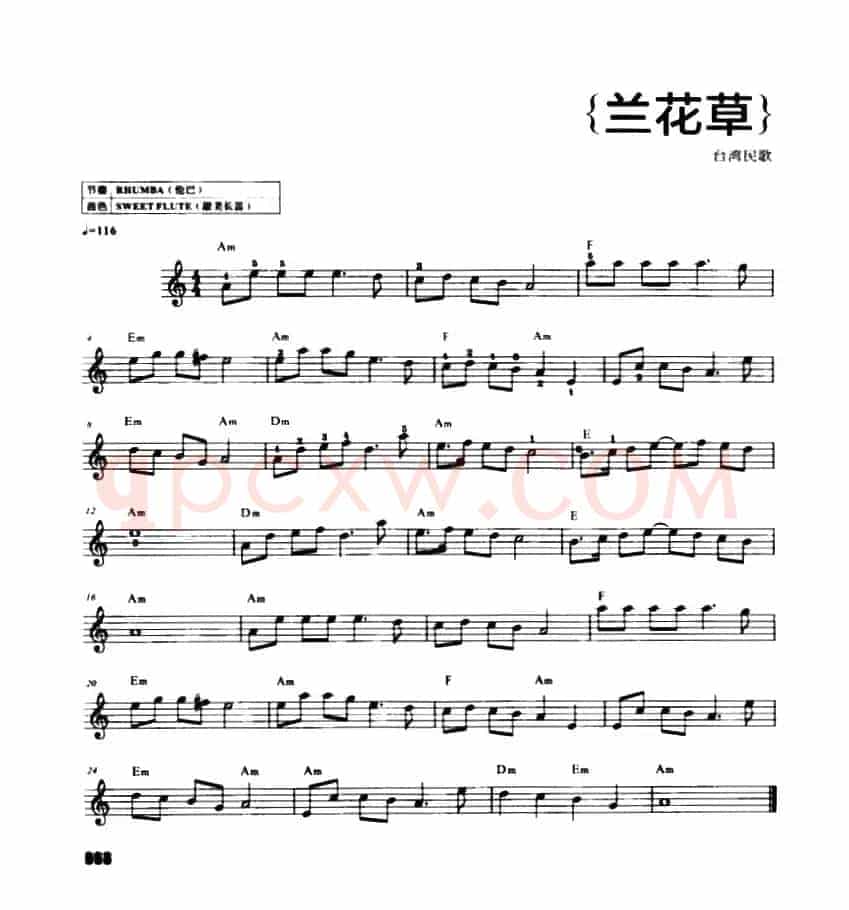 兰花草