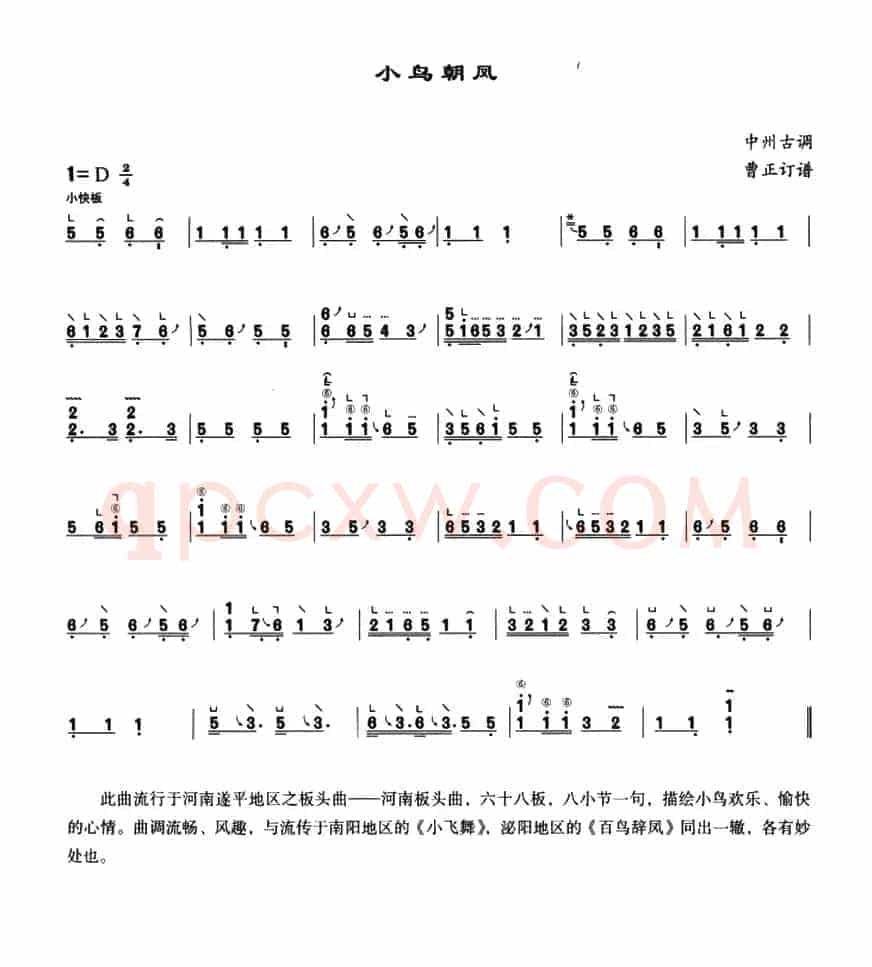 小鸟朝凤