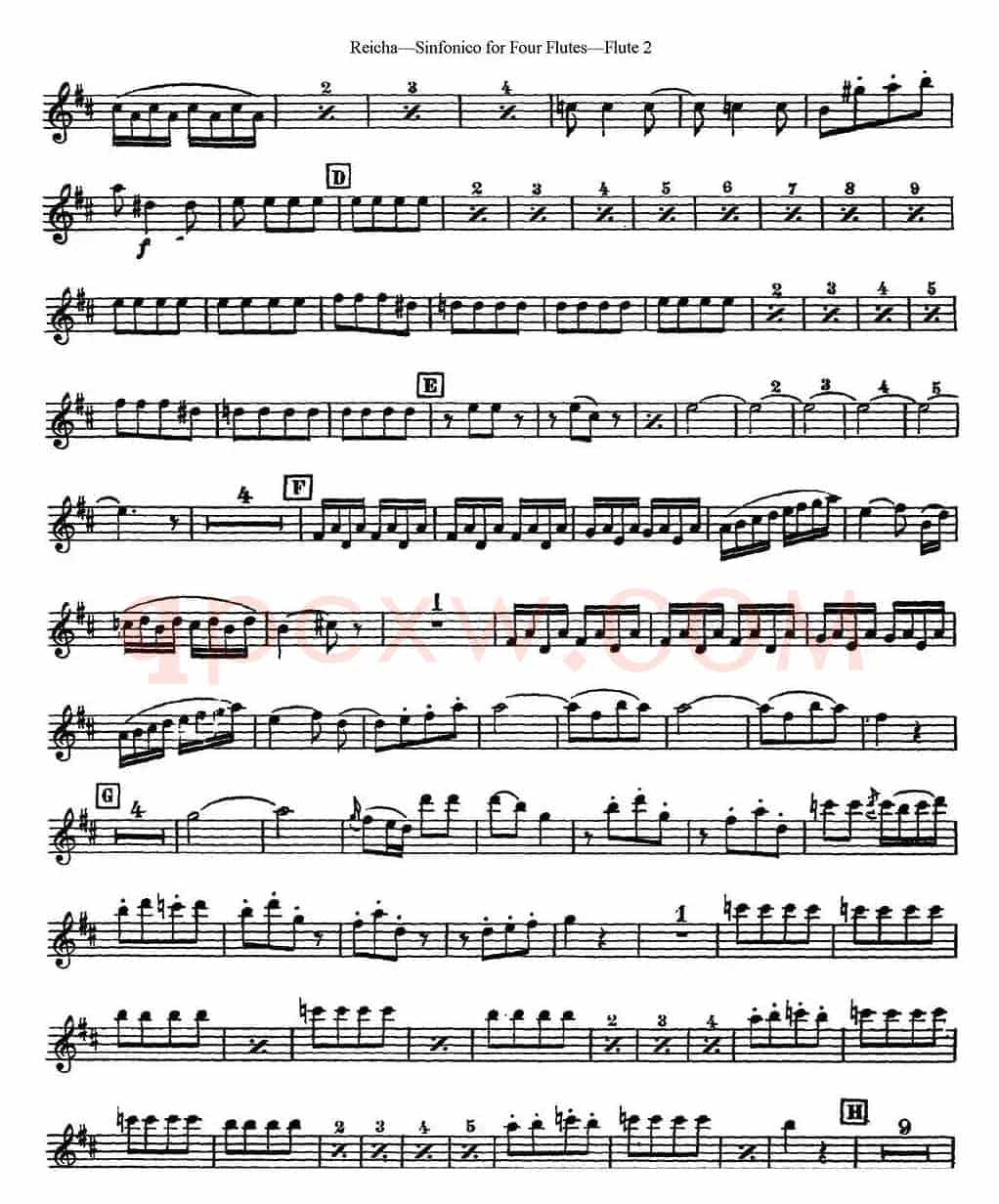 瑞查长笛四重奏（Flute 2）