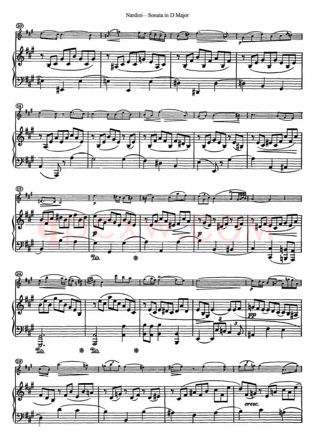 Nardini Violin Sonata in D Major（小提琴+钢琴伴奏）