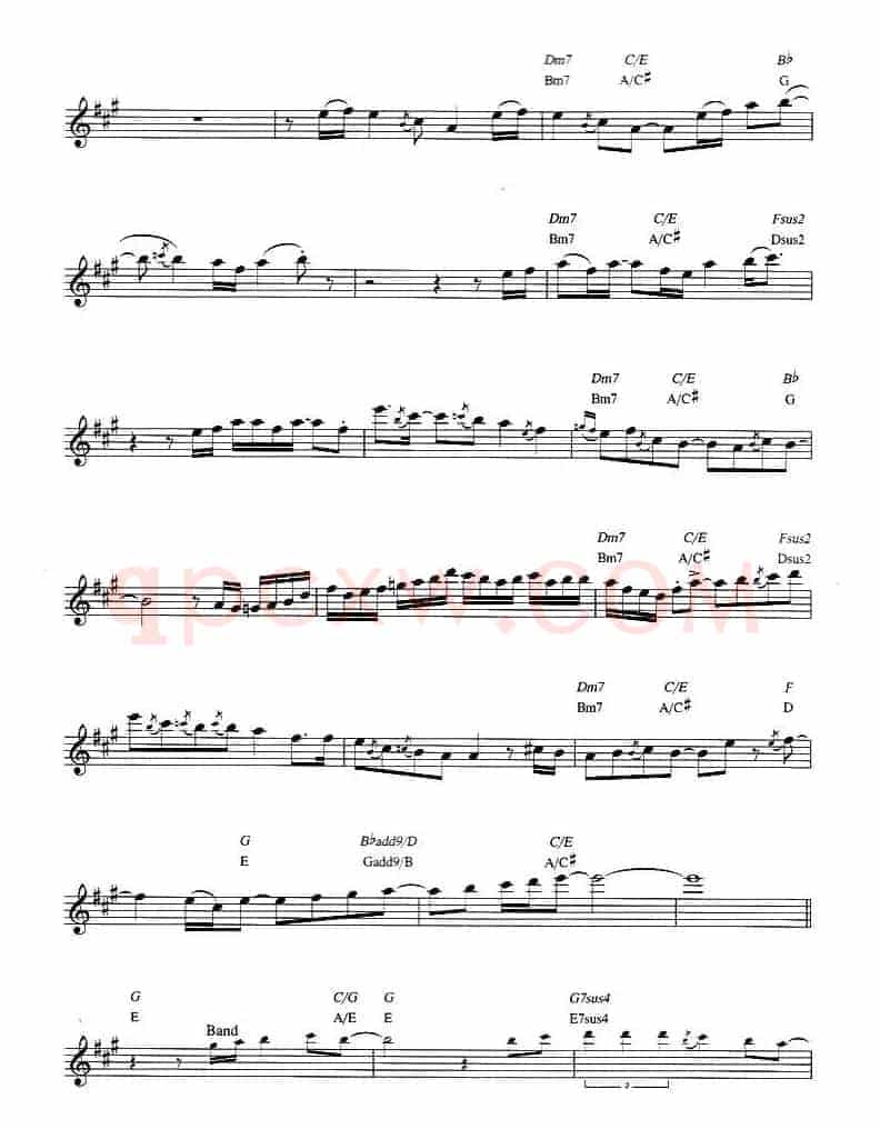 Dave Koz - Castle of dreams（原版中音萨克斯谱）