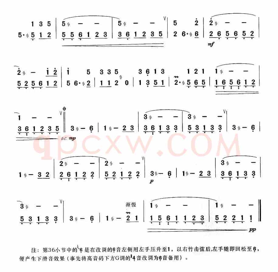 月光下的凤尾竹
