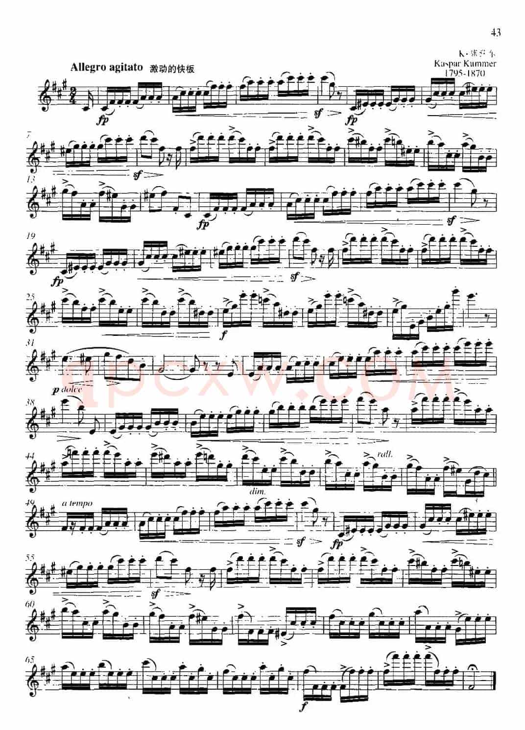 第二单元 中高级练习：断奏练习（练习曲部分）