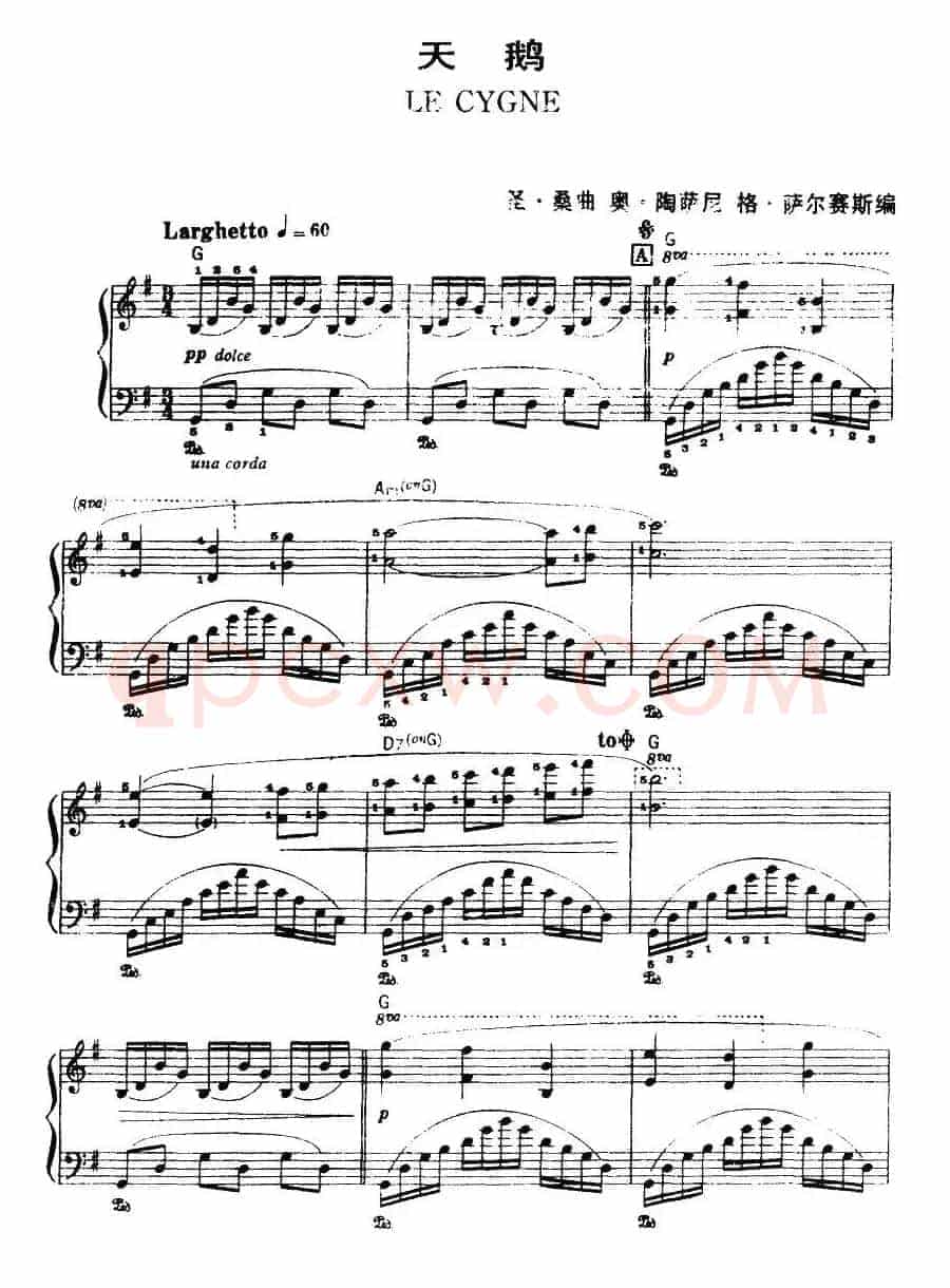 天鹅