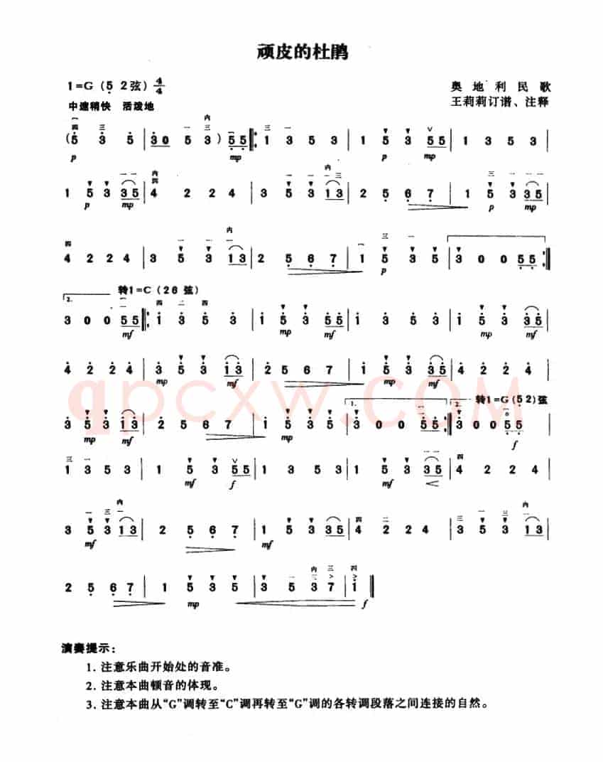 顽皮的杜鹃