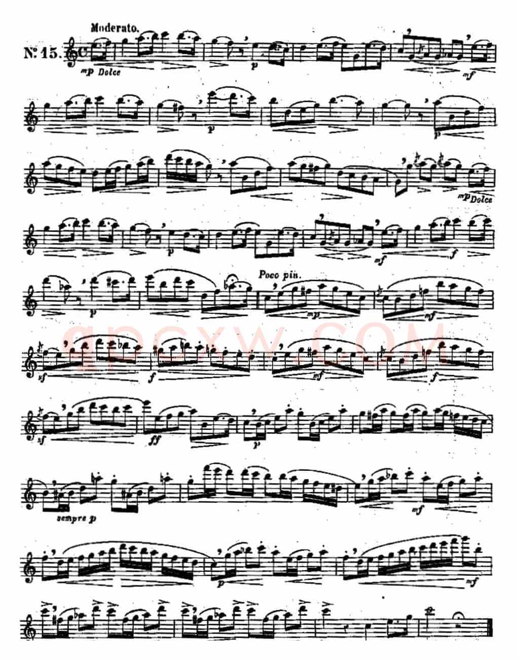 二十首练习曲作品131号（NO.15）
