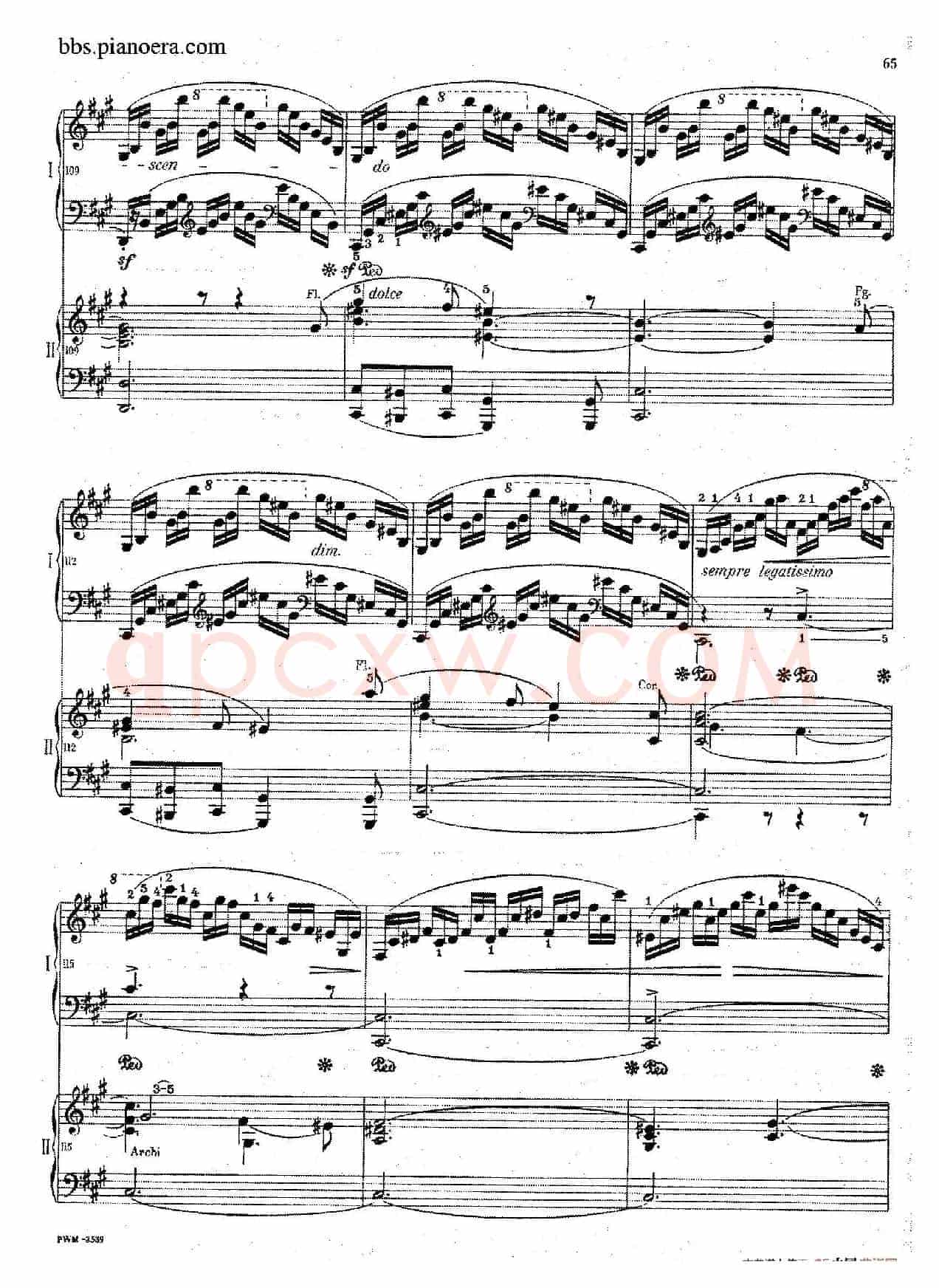 Grand Fantasy on Polish Airs Op.13(华丽的波兰民歌幻想曲·双钢琴版)