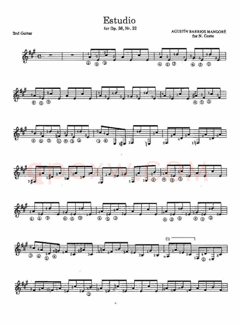 Estudio(for Op.38no.22)(古典吉他)
