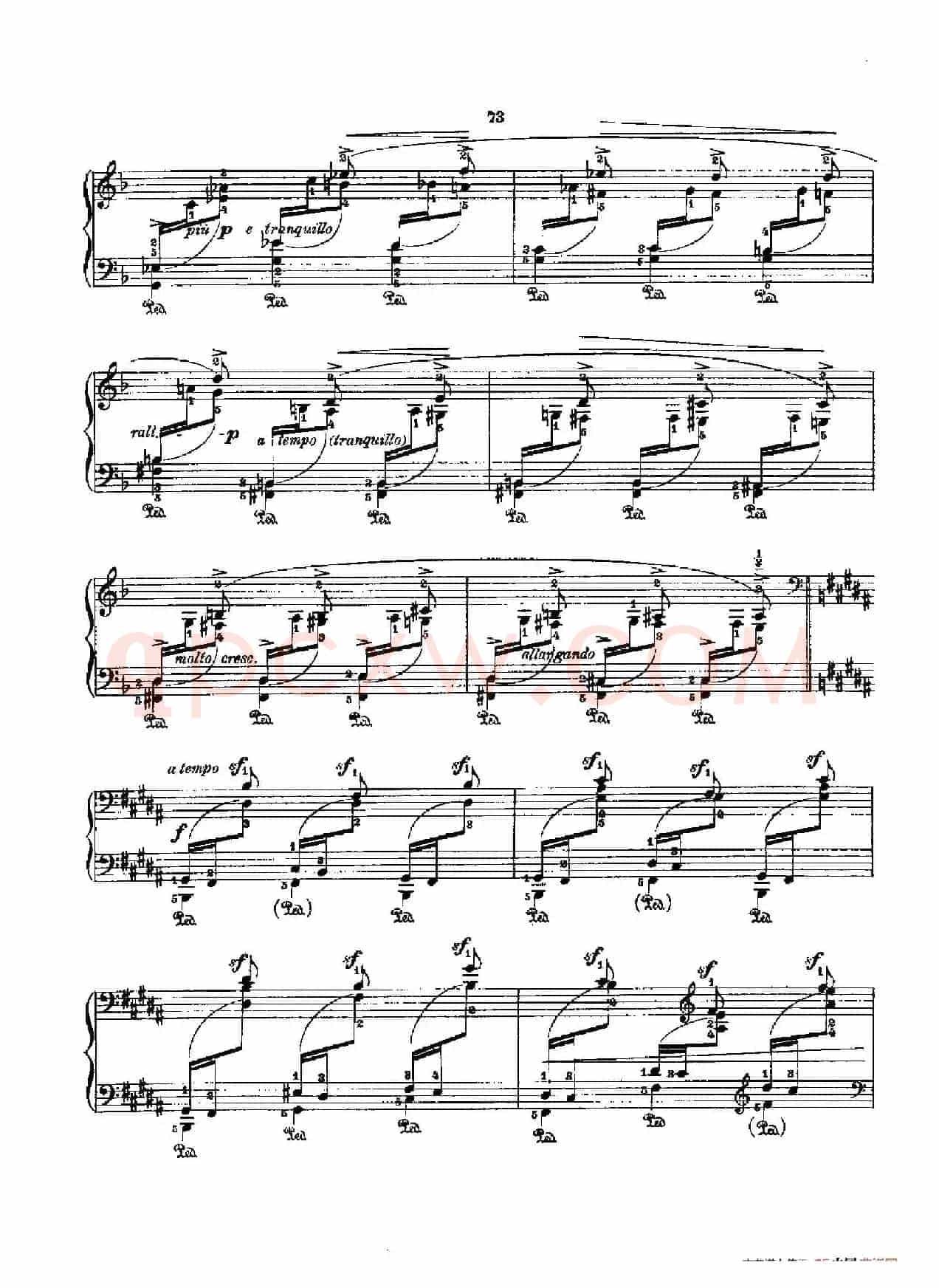 53首以肖邦练习曲为素材而作的练习曲（No.30）