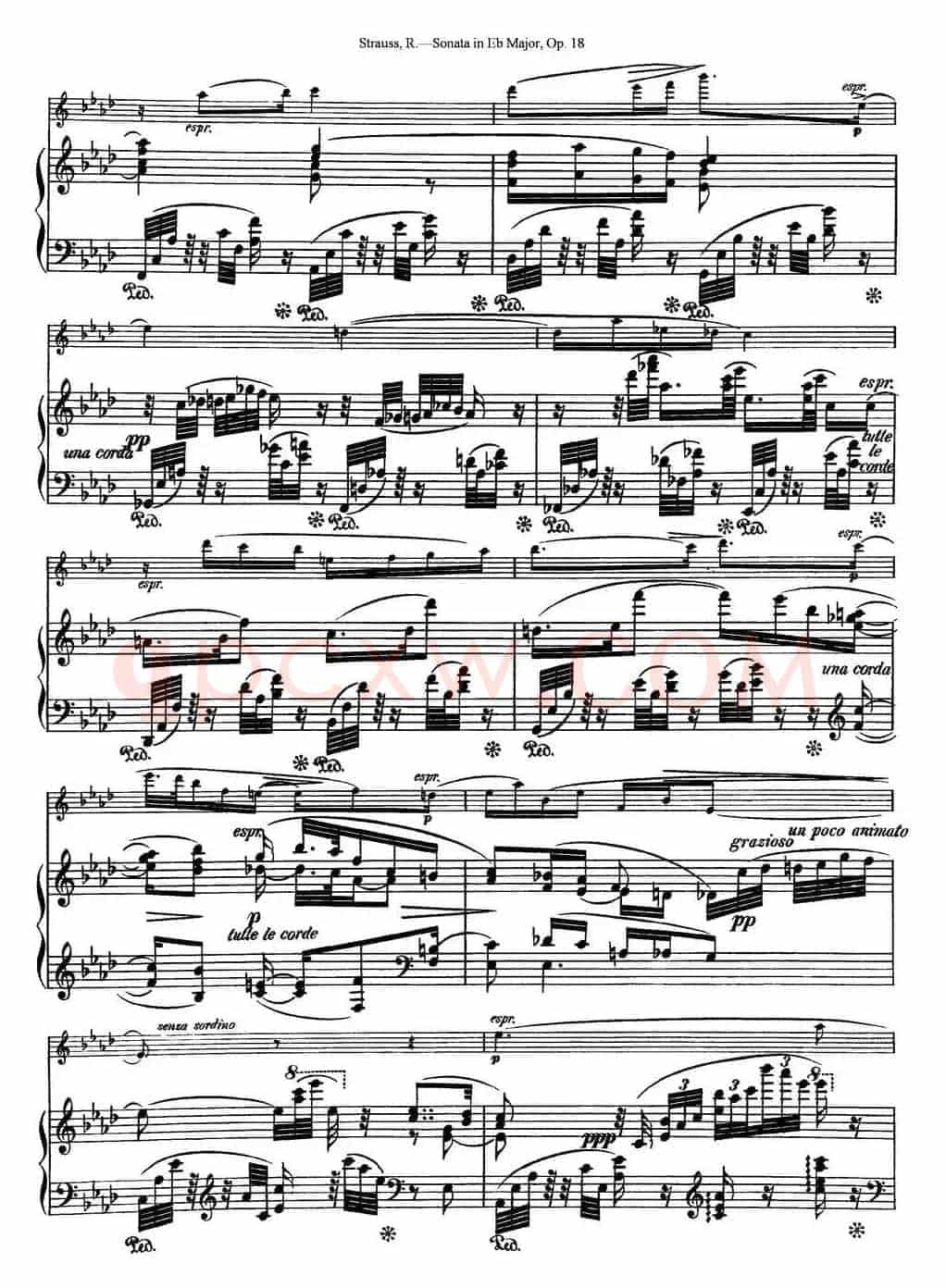 Violin Sonata in Eb Major Op.18（小提琴+钢琴伴奏）