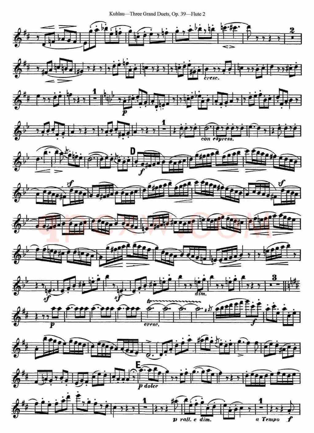 库劳长笛二重奏大练习曲Op.39——Flute 2（No.3）