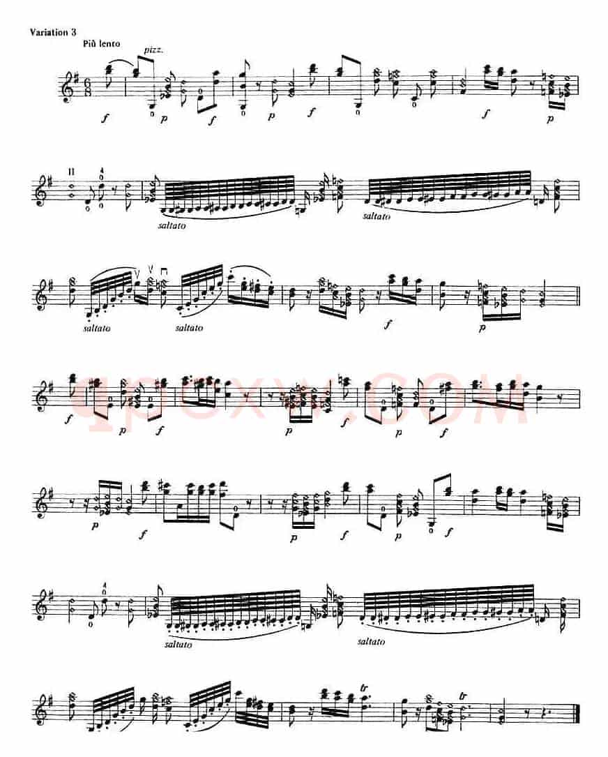 Introduction and Variations