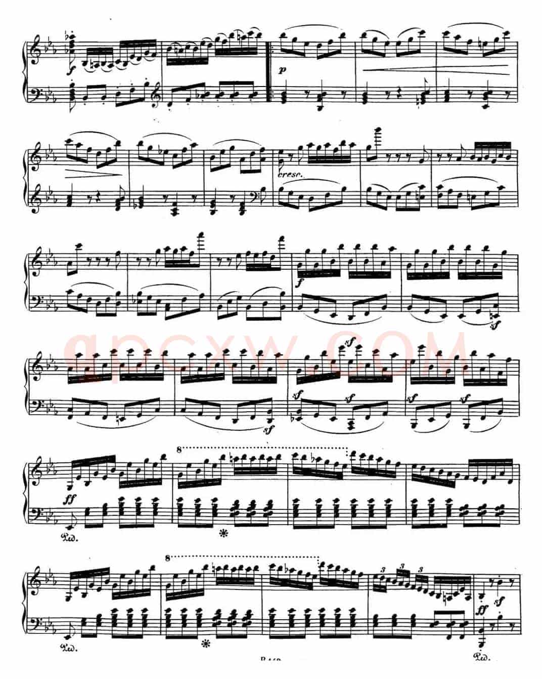 Sonate（奏鸣曲）