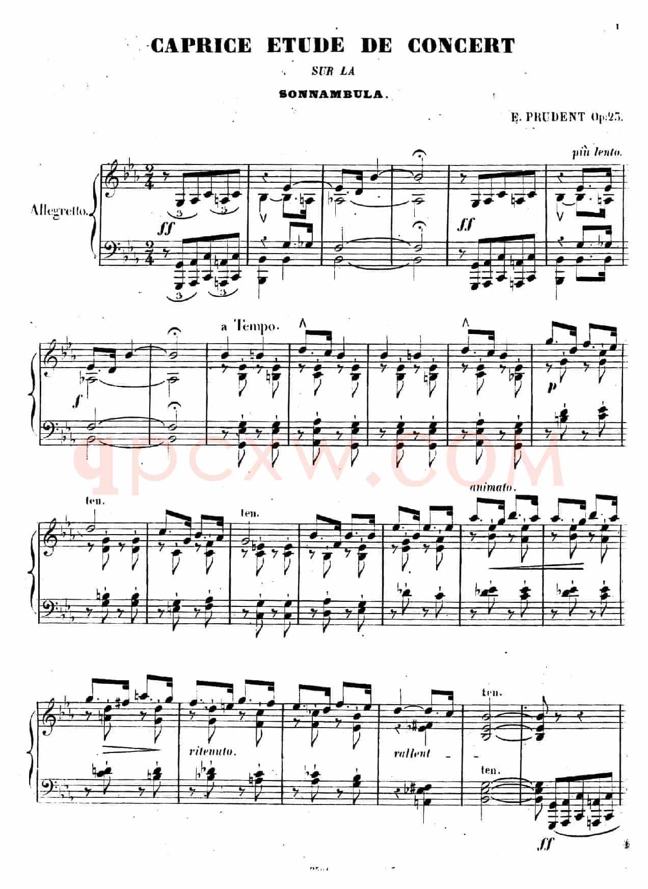 Caprice Etude de Concert