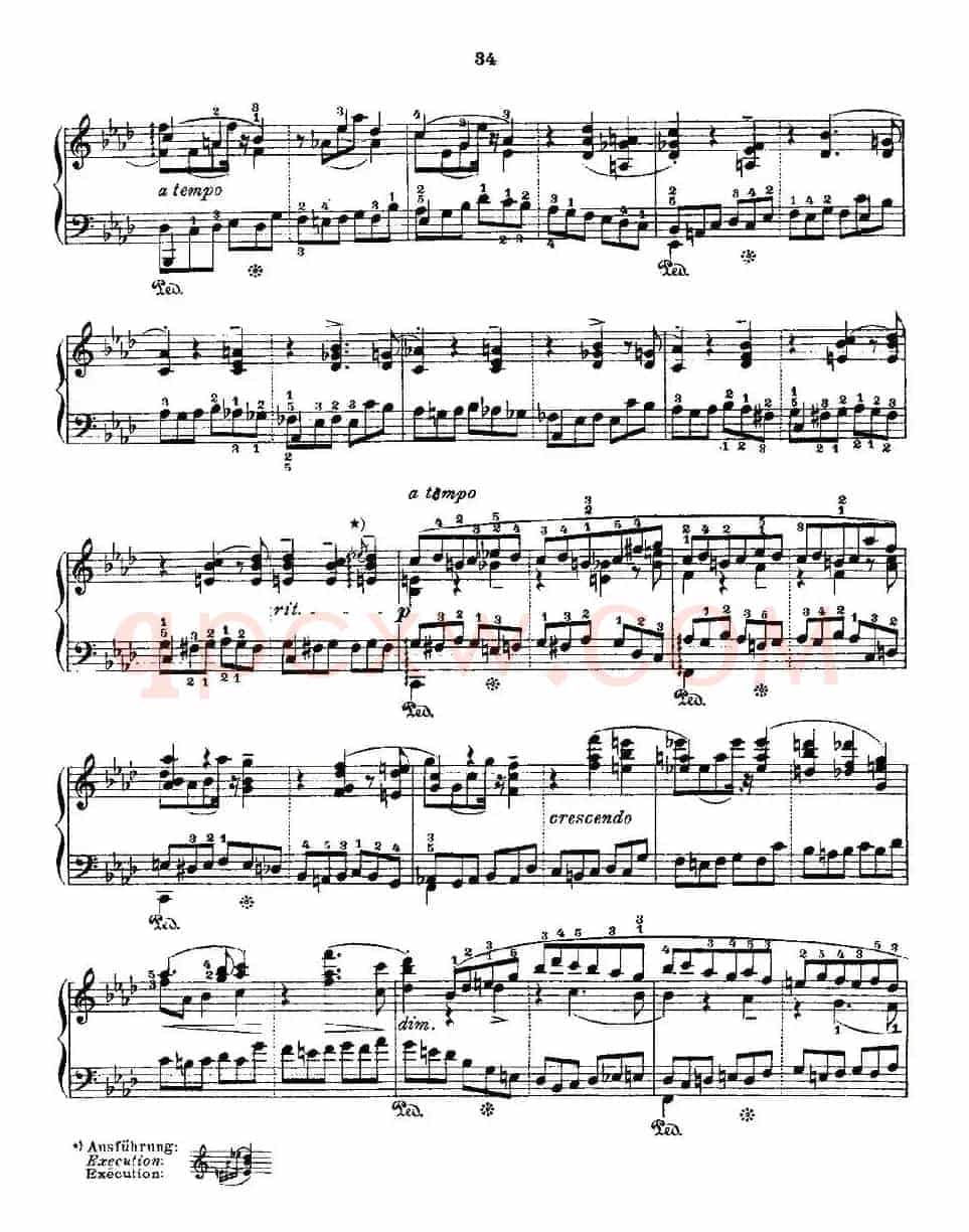 肖邦《练习曲》Fr.Chopin Op.25 No2-2
