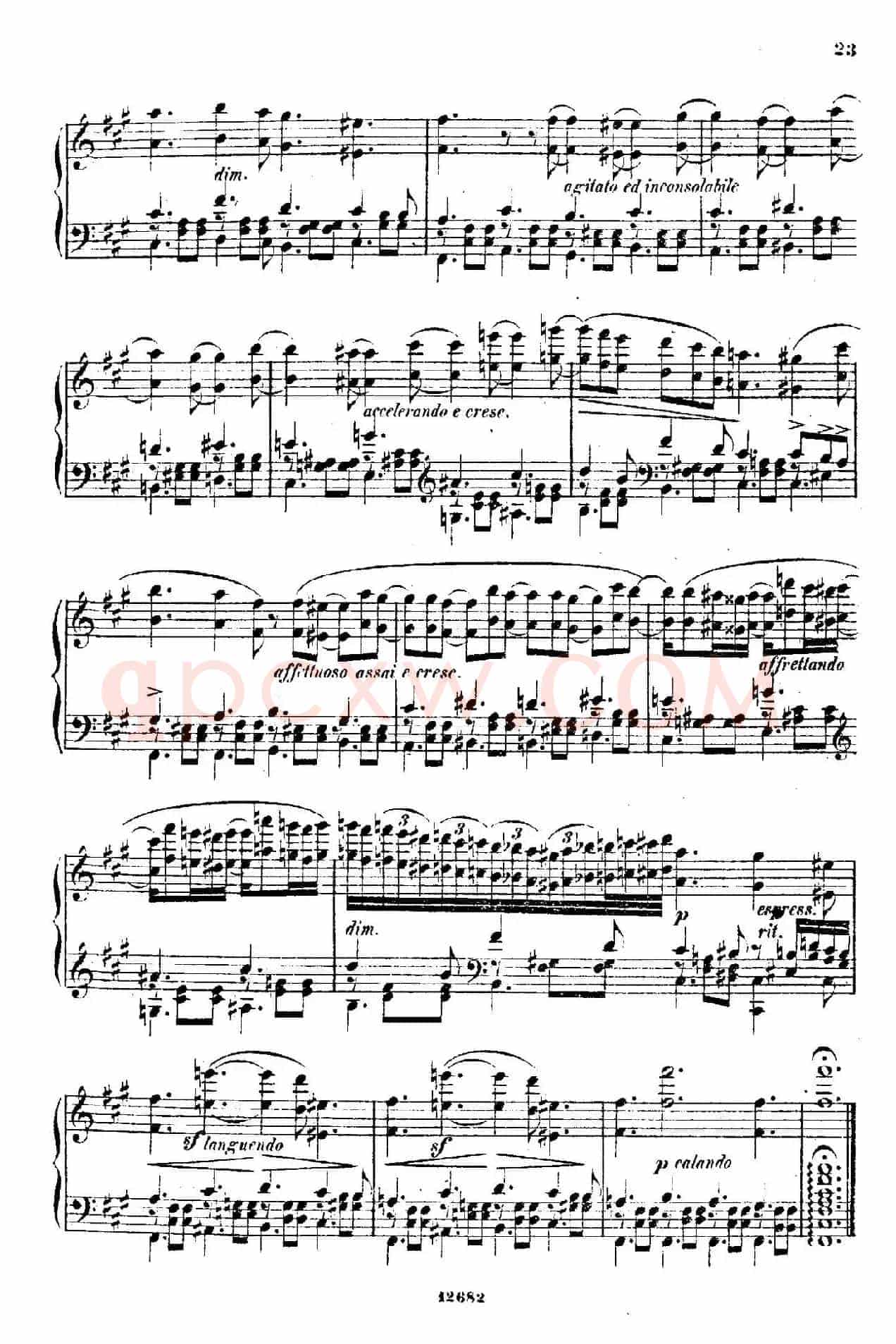 Douze Etudes de Salon Op.5（12首沙龙练习曲·5）