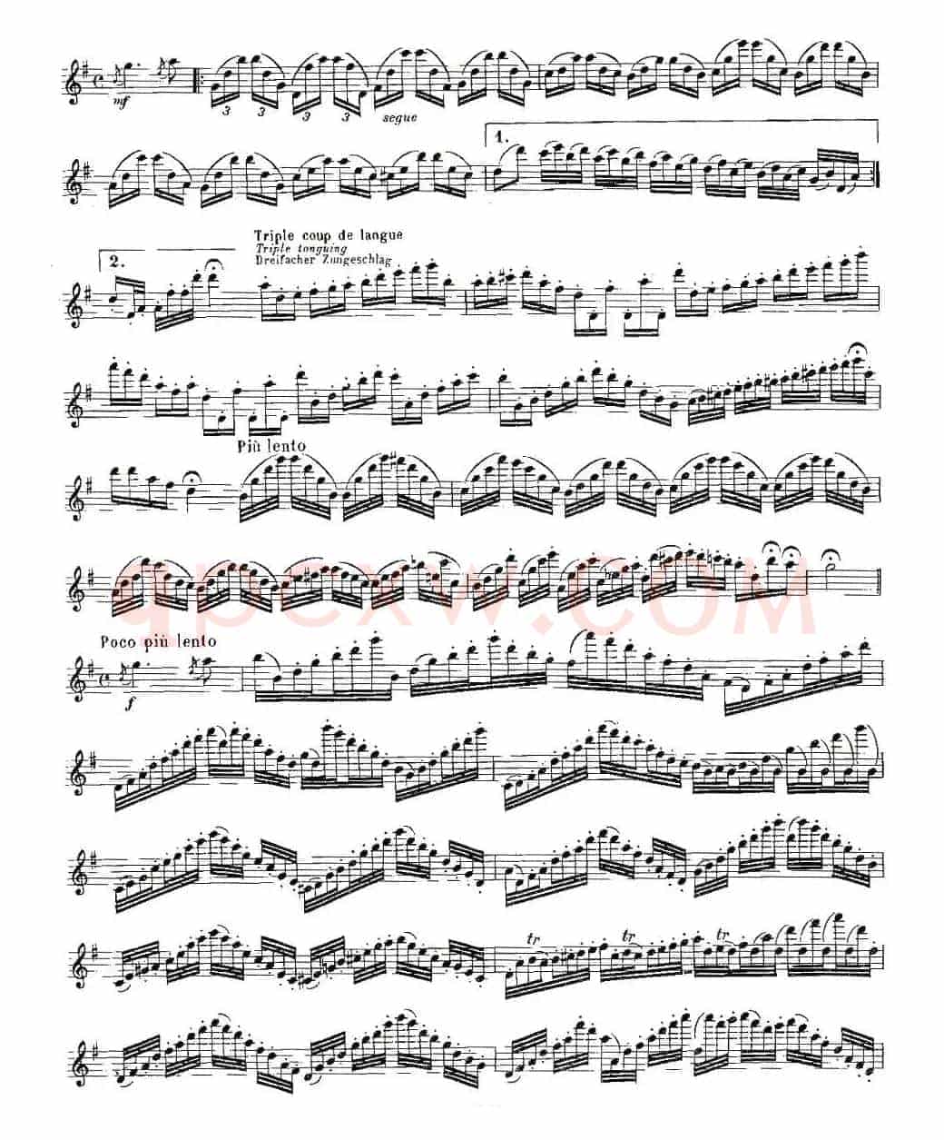 基于维尼亚夫斯基练习曲的10首长笛练习曲之10（Moyse - 10 Studies After Wieniawski）
