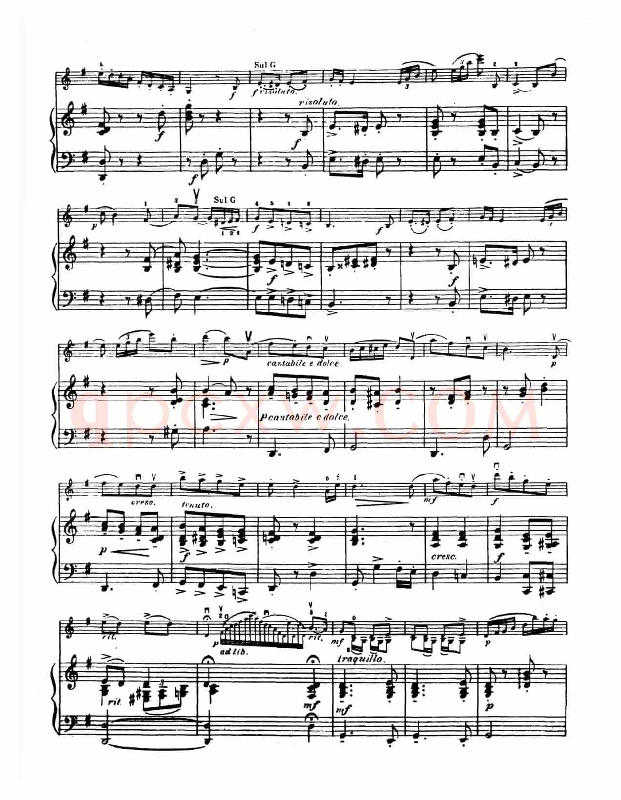 g小调学生协奏曲（塞茨作品第12号）