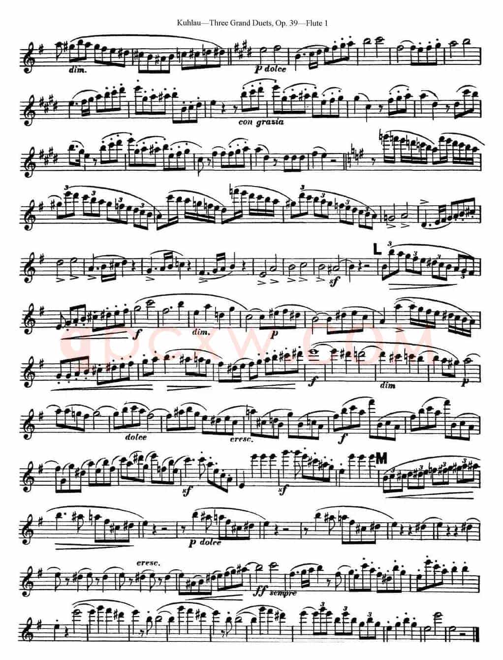 库劳长笛二重奏大练习曲Op.39——Flute 1（No.1）