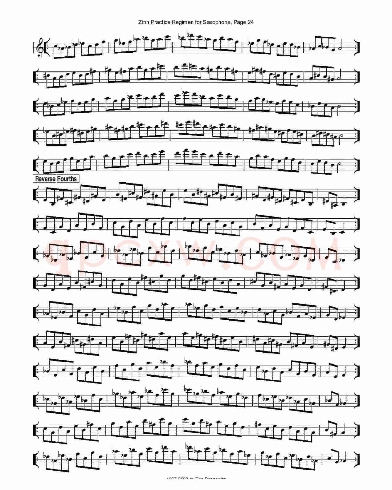 ZinnRegimenSax2009练习曲