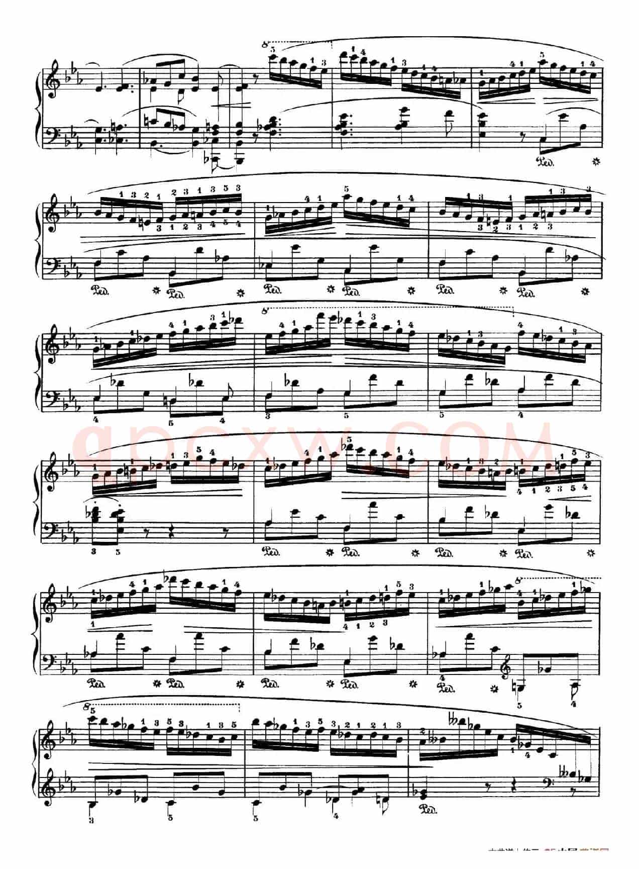 Piano Sonata No.3 in b Minor Op.58(b小调第三钢琴奏鸣曲·第四乐章)