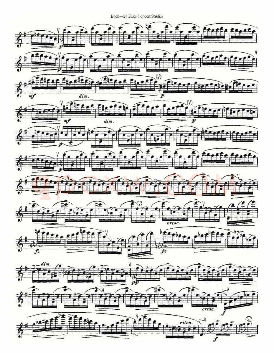 Bach-24 Flutc Concert Studies 之20—24（巴赫—24首长笛音乐会练习曲）