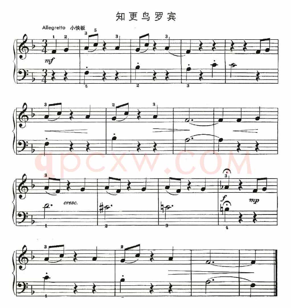 知更鸟罗宾