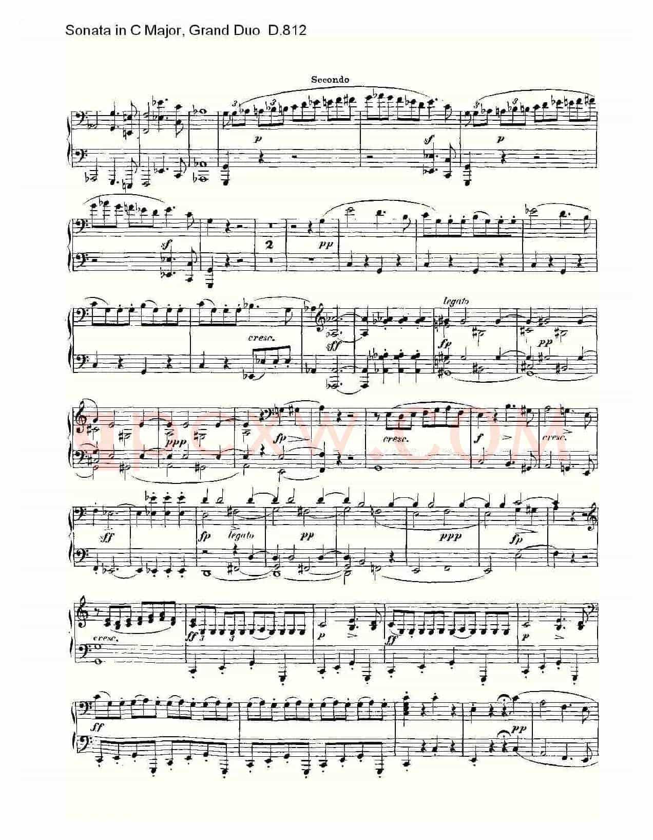Sonata in C Major, Grand Duo D.812(C大调奏鸣曲,盛大的二重奏 )