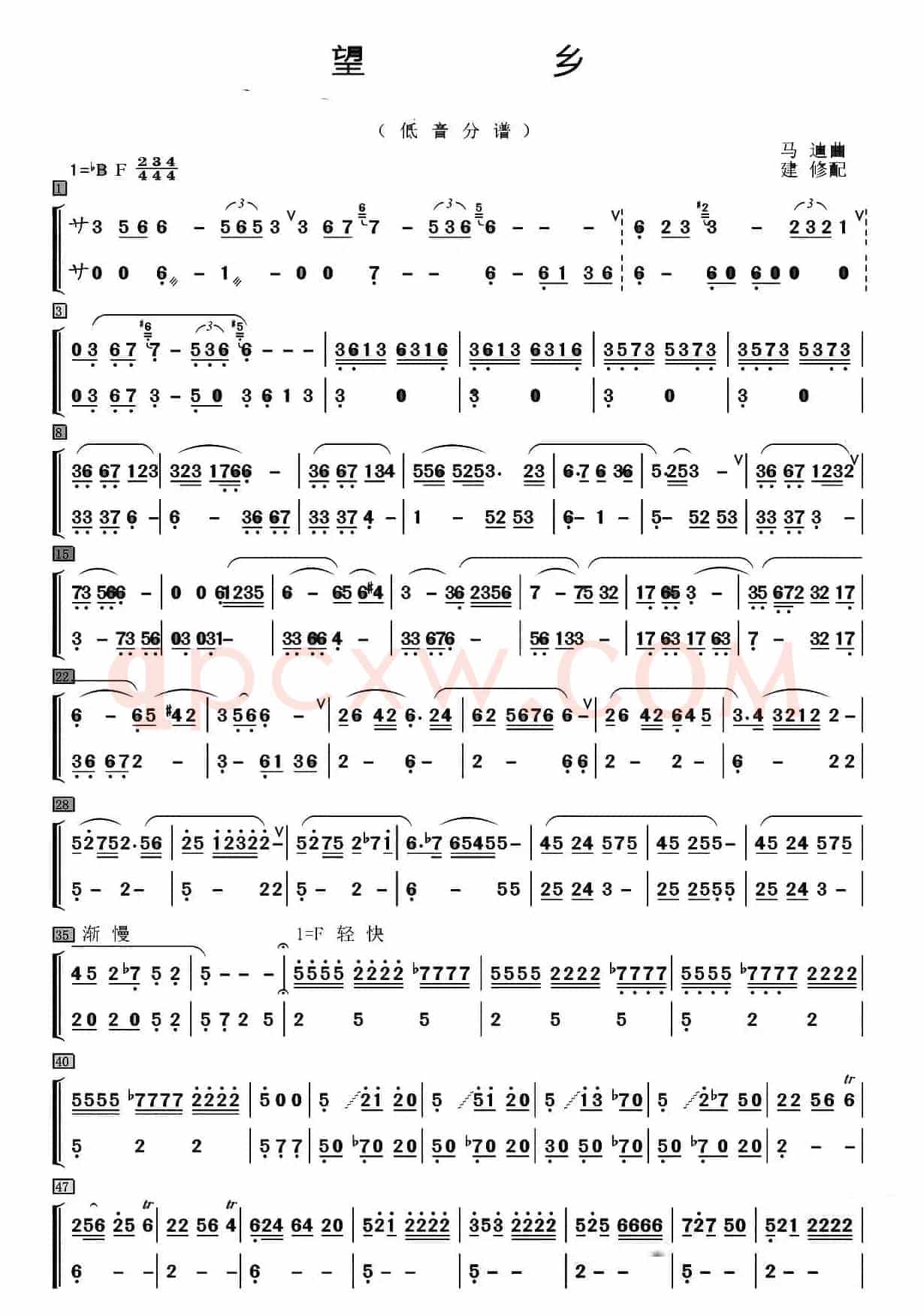 望乡（笛子独奏+乐队伴奏低音分谱）