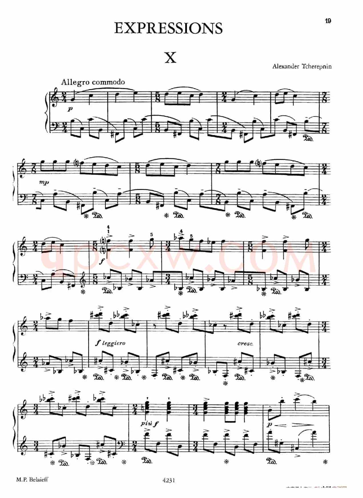 Expressions(表现力·10)